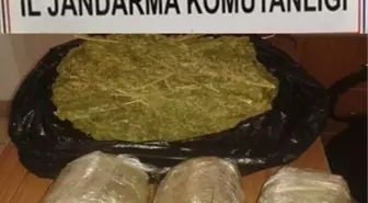 Mersin'de 4 Kilo Esrar Ele Geçirildi