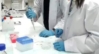 Nanoteknoloji Araştırma Merkezi Kuruluyor