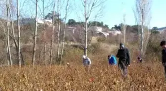 Bilim Adamları Yaşam İzi Olan Meteorun Parçasını Arıyorlar