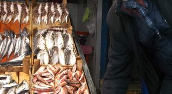 Trabzon'da Hamsinin Kilogram Fiyatı 20 TL'ye Yükseldi