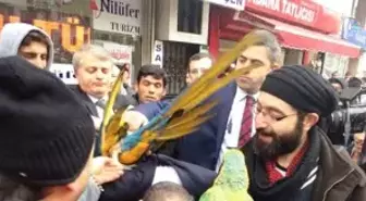 Dha Yurt Bülteni-11