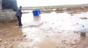 Deaş'ten Kaçan Mültecileri Kış Şartları Vurdu