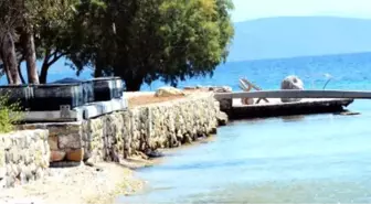 Sahilimizi Geri İstiyoruz' Dediler, Kazandılar