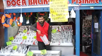 100 Dolar Bozdurana Balıkçı Esnafından 1 Kilo Hamsi Bedava