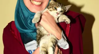 Çanakkale Mahsur Kalan Kediyi Önce Kurtardı, Sonra Sahiplendi