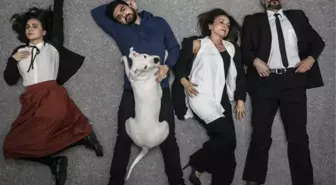 Köpeklerin İsyan Günü