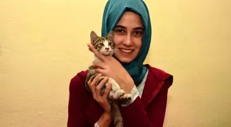 Mahsur Kalan Kediyi Önce Kurtardı, Sonra Sahiplendi