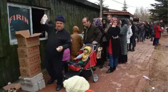 Niğde'de, 'Hamsi Şenliği' Düzenlendi