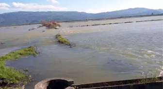 Büyük Menderes'te Islah ve Peyzaj Çalışması Yapılacak