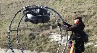 Almanya'dan İran'a Çemberli Barış Yolculuğu