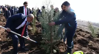 15 Temmuz Kahramanlar Ormanına Fidan Dikildi