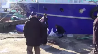 Batı Karadeniz'de Hamsi Bolluğu - Düzce