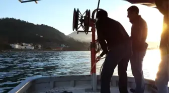 Doğu Karadeniz'de Radyoaktivite Kirlilik Değerleri Limitin Altında Çıktı