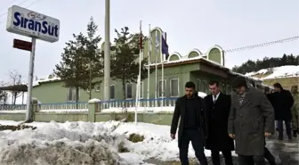 Vali Memiş, Katkısız Yoğurt ve Peynir Üretimini İnceledi