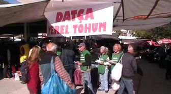 Muğla - Datça'da Yerel Tohum Seferberliği