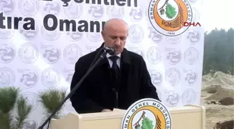 Denizli 15 Temmuz Şehitleri Anısına 1000 Fidan