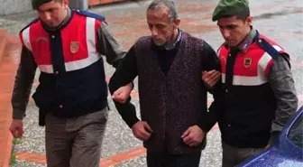 Taburcu Oldu, Hakim Karşısına Çıktı