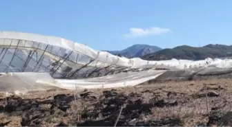 Fırtına Seraları Yıktı, Ağaçları Devirdi