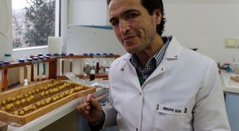Dünyanın En Pahalı Sütü, En Kalitelisi Türkiye'de: Kilosu 20 Bin Lira