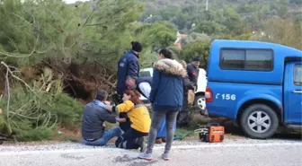 Aracı Ağaçların Arasına Saplandı, 2 Saat Kurtarılmayı Bekledi