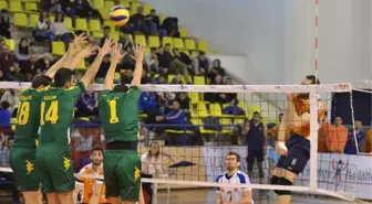 Voleybol Efeler Ligi