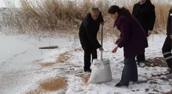 Cihanbeyli Belediyesi Kuşlara Yem Bıraktı