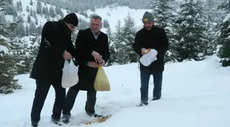 Ekinözü 'nde Ak Partililer Aç Kalan Yaban Hayvanları Unutmadı