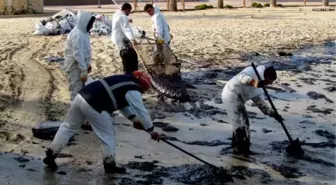 Başkan Dalgıç Yakıt Kirliliği Değerlendirmesi