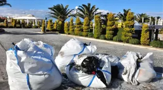 Çeşme Plajlarında Temizlik 2 Ay Sürecek