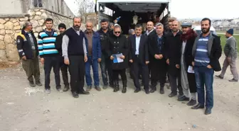 Genç Çiftçilere Düve Hibe Edildi