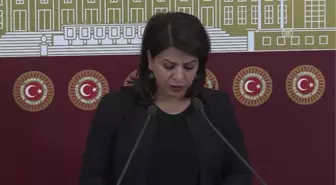 Hdp Diyarbakır Milletvekili Yiğitalp