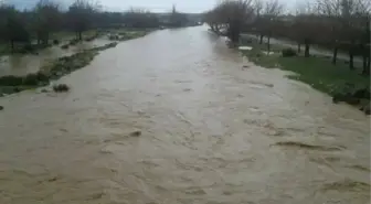 Yağışlar Çatıllı Çayını Coşturdu