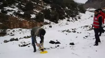 Yaban Hayvanları İçin Doğaya Yem Bıraktılar