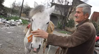 Atı Telef Olan Kişiye Yeni At Alındı