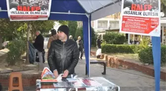 Aydınlılar Halep'e Yardım Kampanyasına Yoğun İlgi Gösteriyor
