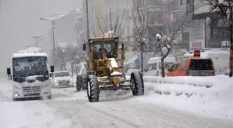 Besicilerin Kara Kışta Zorlu Yolculuğu