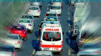 Yaşama Yol Ver Projesi'