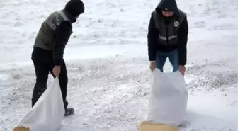 Çubuk'ta Sokak Hayvanları İçin Yem Bırakıldı