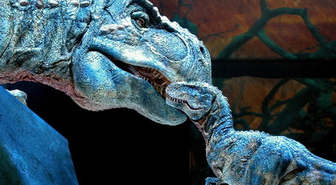Dinozorların Yumurtadan 3 İla 6 Ayda Çıktığı Belirlendi