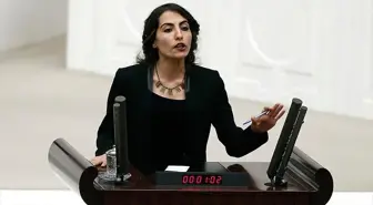 HDP'li Öztürk'e İkinci Kez Müebbet İstemi