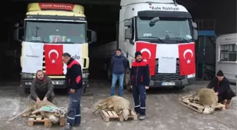 Kaleseramik Yılın İlk Sevkiyatını Gerçekleştirdi