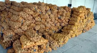 Lise Öğrencilerinden Halepliler İçin 25 Ton Patates