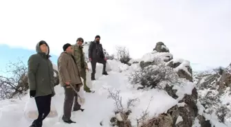 Oltulu Doğaseverler Doğaya Yem Bıraktı