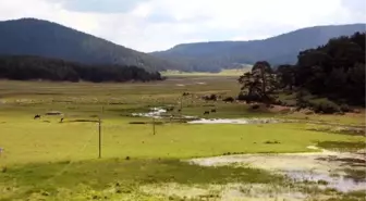 Köroğlu Dağları'nın Turizm Alanı İlan Edilmesini Bilirkişi Uygun Bulmadı