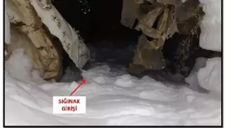 Bitlis'te PKK Sığınakları İmha Edildi