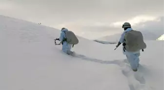 Bitlis'te Terör Operasyonu