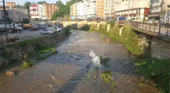 Kumru'da Elekçi Irmağı Islah Ediliyor