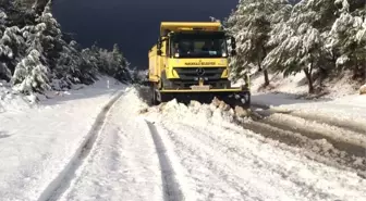 Pamukkale Belediyesi'nin Karla Mücadelesi Sürüyor