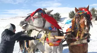 Çıldır Gölü'nde Atlı Kızak Keyfi