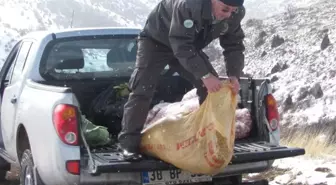 Enez Belediyesi Sokak Hayvanlarını Unutmadı